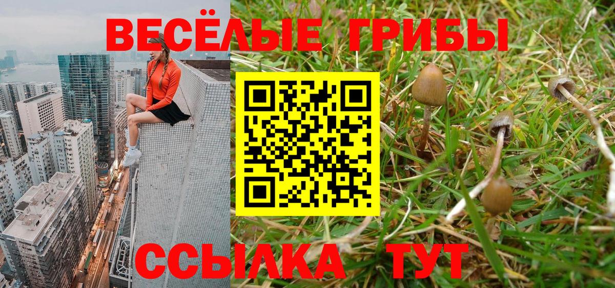 Галлюциногенные грибы MAGIC MUSHROOMS  Вход с VPN  Павловский Посад 