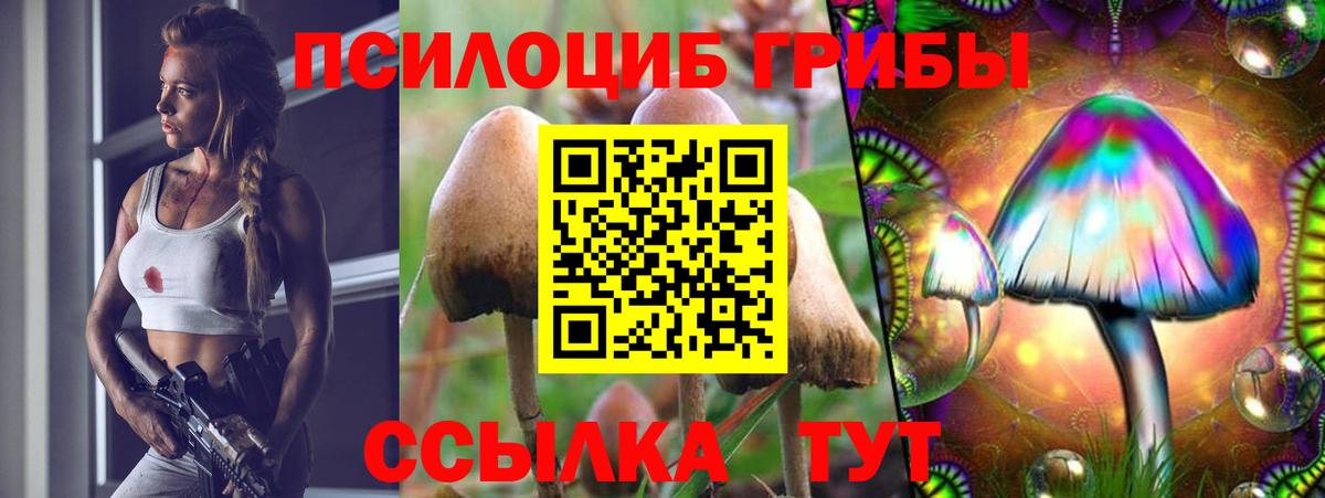 Галлюциногенные грибы Magic Shrooms Павловский Посад